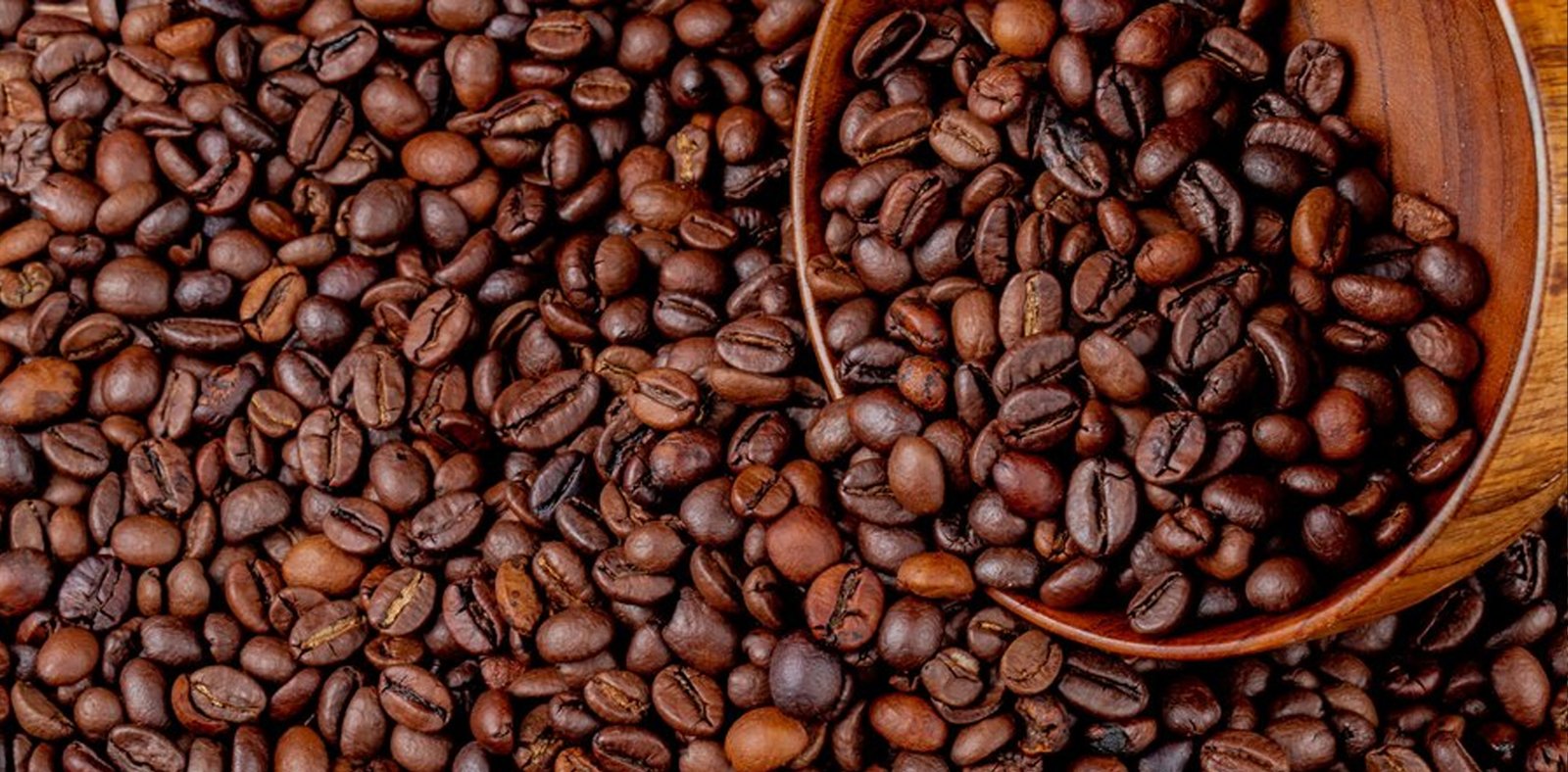 Buy Freshly Roasted Coffee Beans