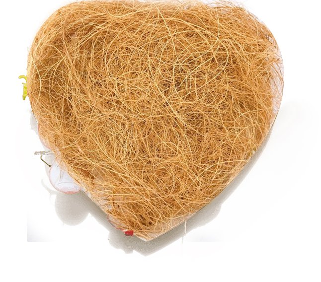 Coconut Fiber